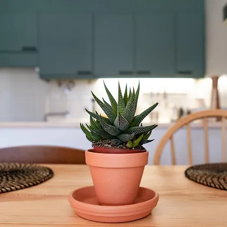 Amazing Flat With Ocean View #costa Da Caparica *